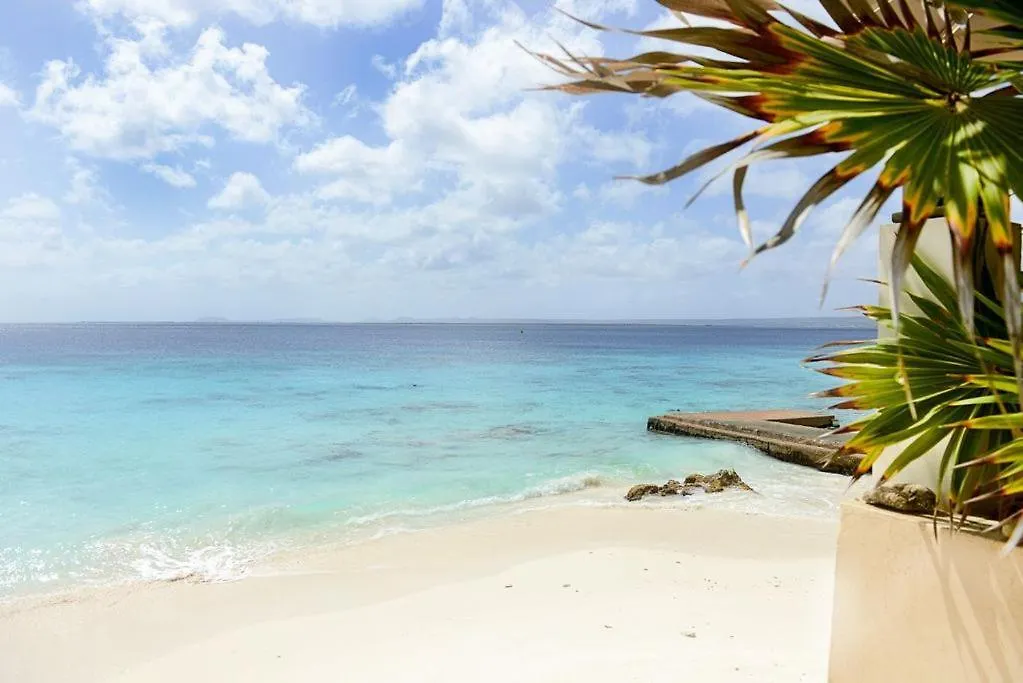 Bellevue Beach Apartment 5 Kralendijk   Kralendijk (Bonaire)